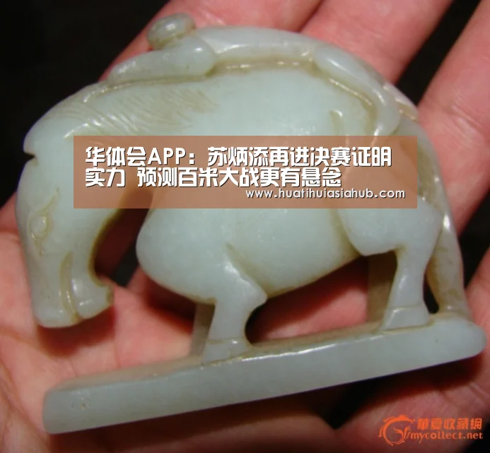 华体会APP:苏炳添再进决赛证明实力 预测百米大战更有悬念(图2) 华体会电竞