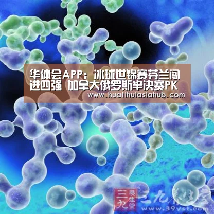 华体会APP