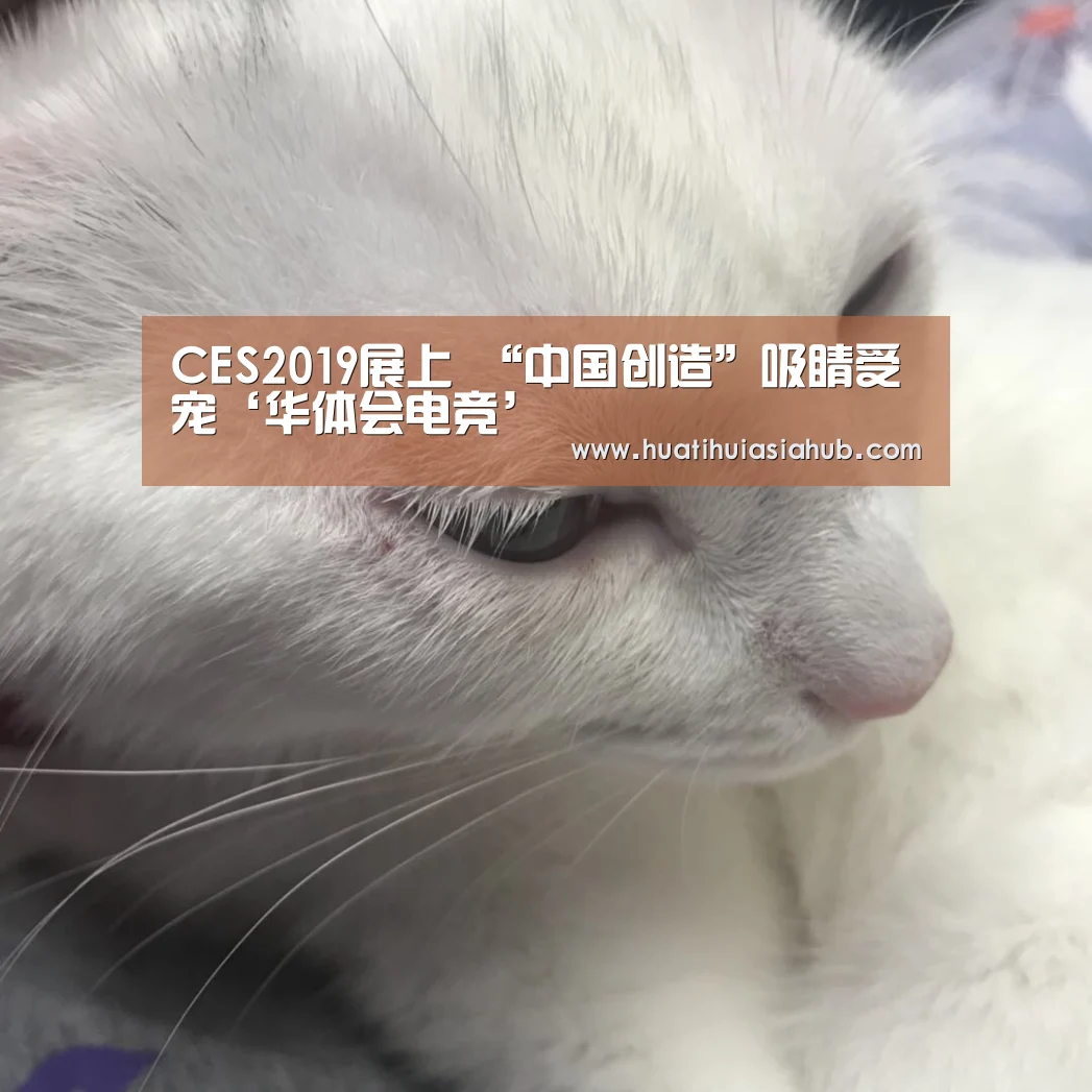 CES2019展上 “中国创造”吸睛受宠‘华体会电竞’(图1) 华体会下载