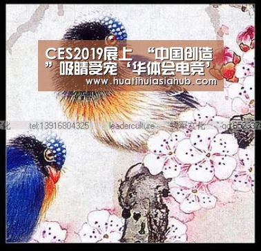 CES2019展上 “中国创造”吸睛受宠‘华体会电竞’(图3) 华体会APP