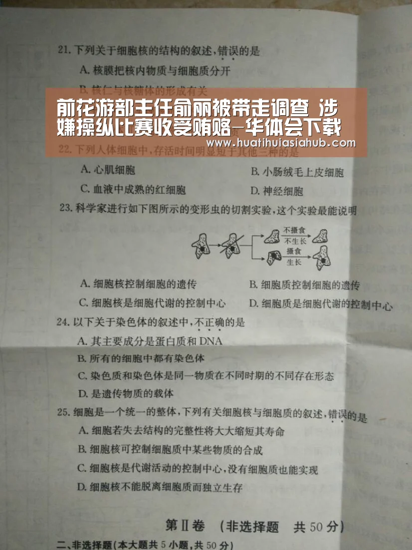 华体会下载